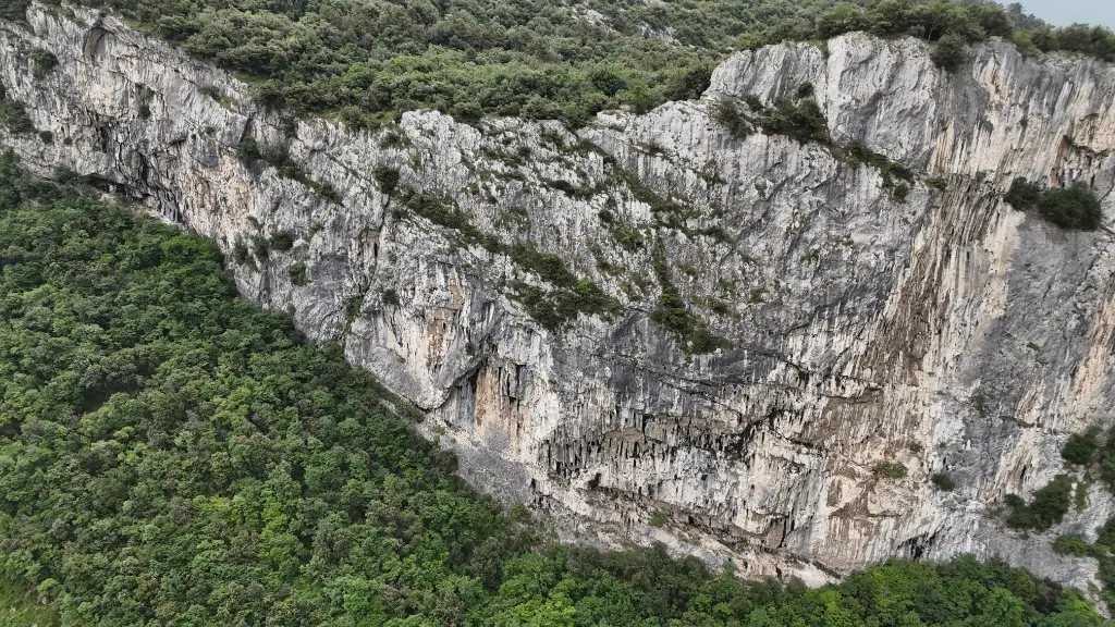 Piccola Dallas banner