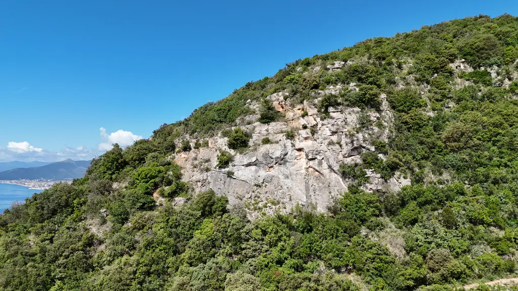 Placca Dicchio banner