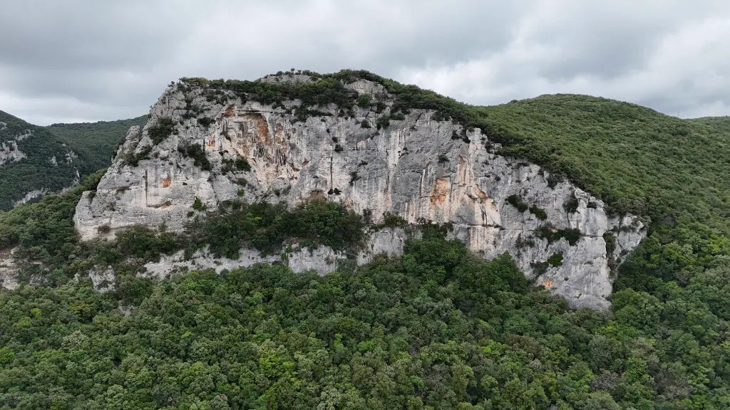 Bric Scimarco banner