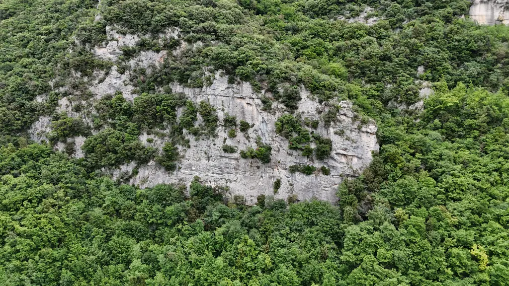 Falesia del Gorilla banner