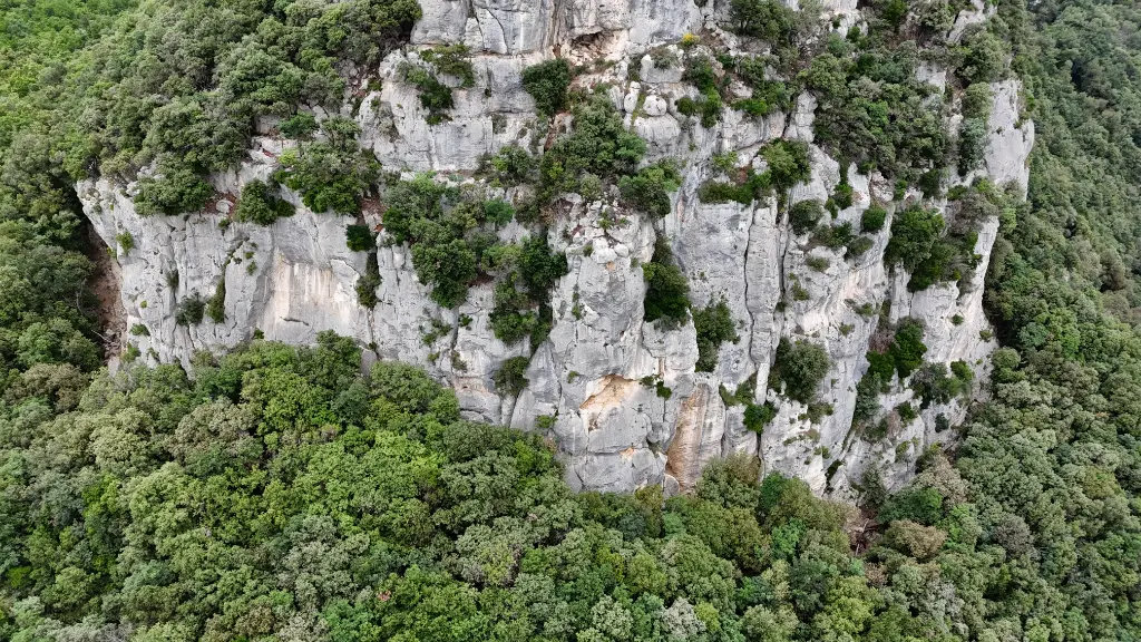 Falesia della Coccinella banner