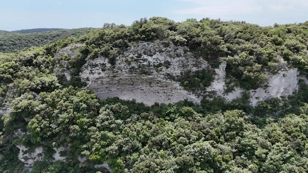 Bocca di Bacco banner