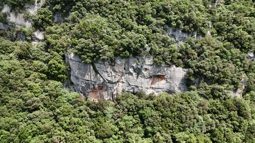 Camelot Right banner