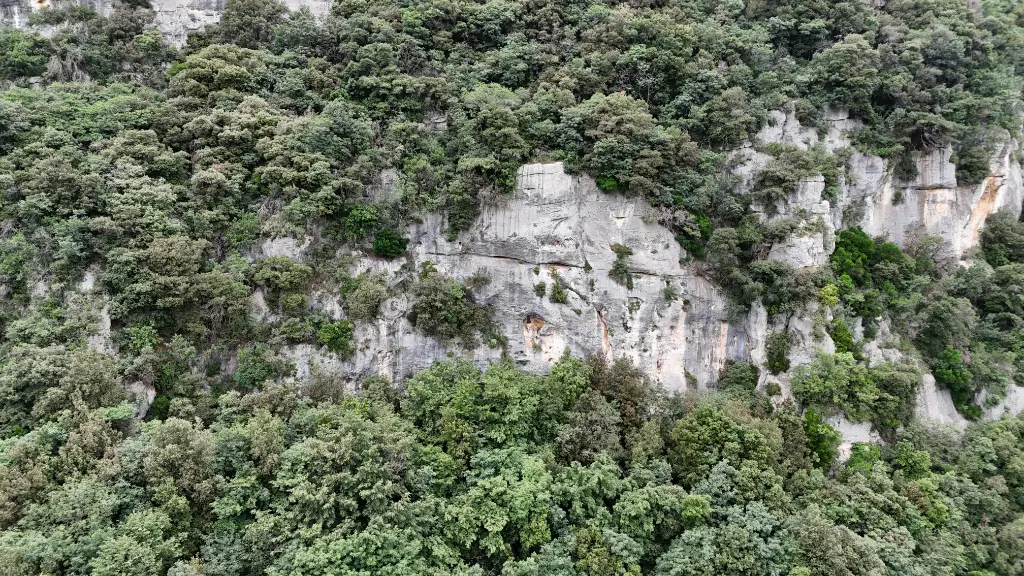 Falesia del Cinghiale banner