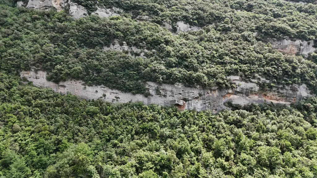 Falesia dell'Eco Inferiore banner