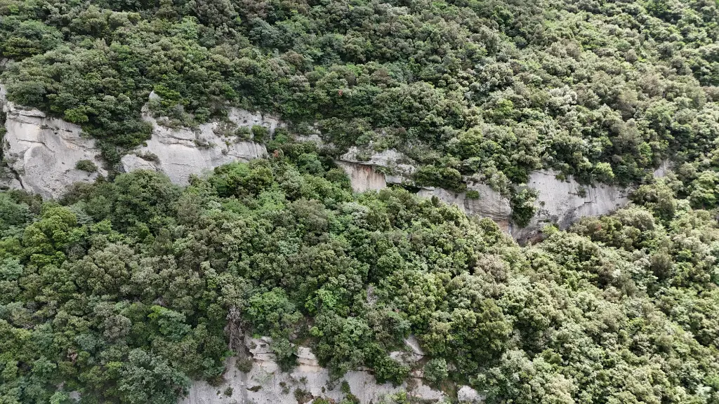 Falesia della'Tranquilita banner