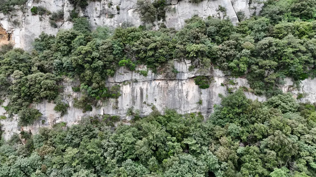 Falesia della Volpe banner