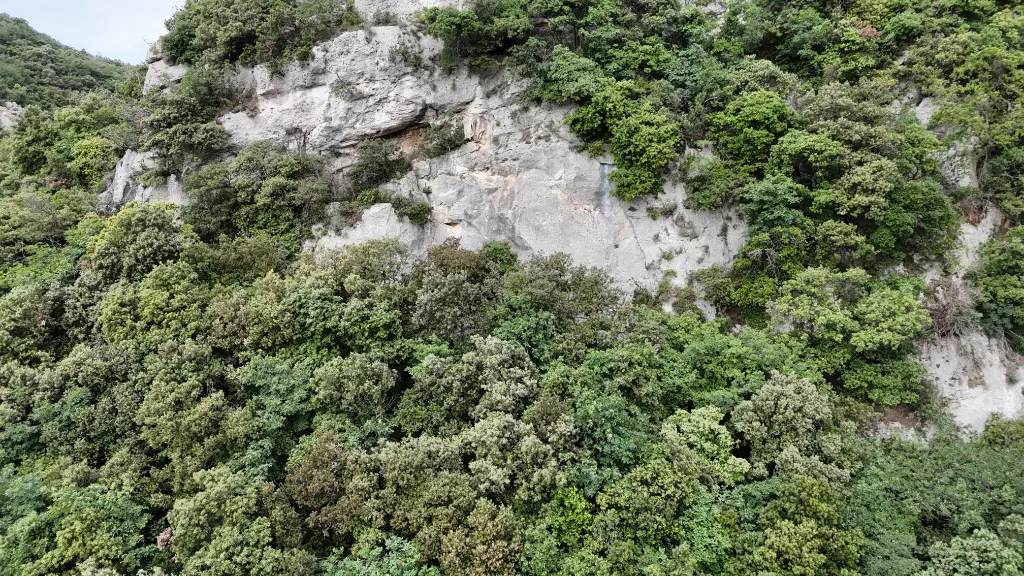 Placca Nevruz banner