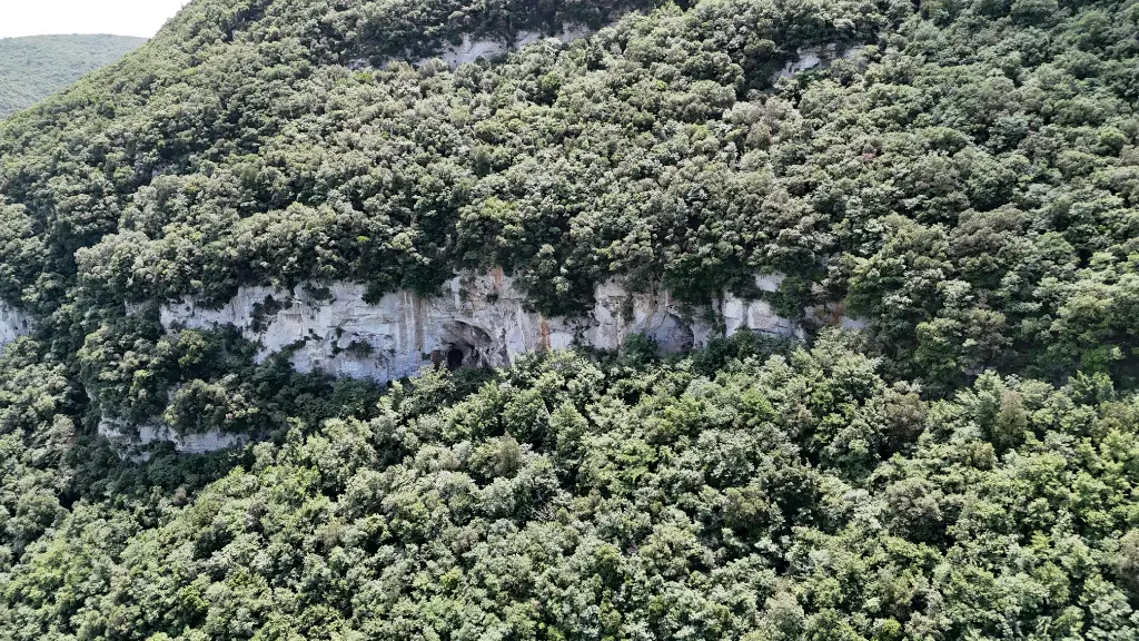 Ronchiadilly Circus banner