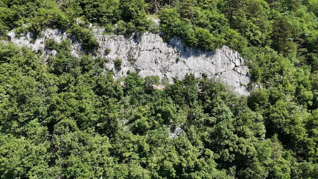 Cartoon Network banner