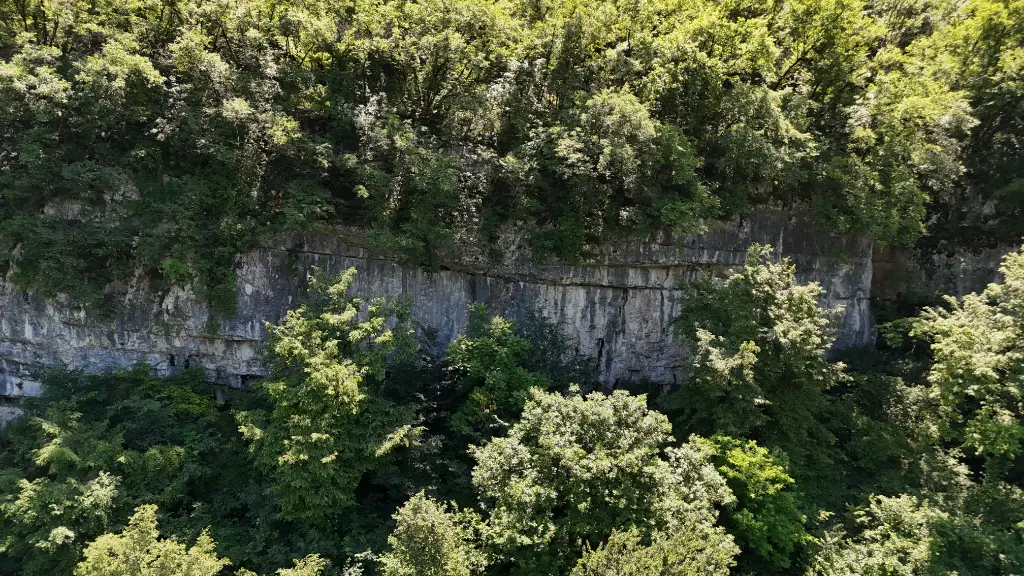 Il Cadaverificio banner