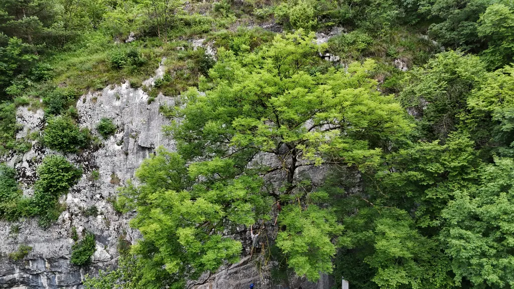 Lago di Lamar banner