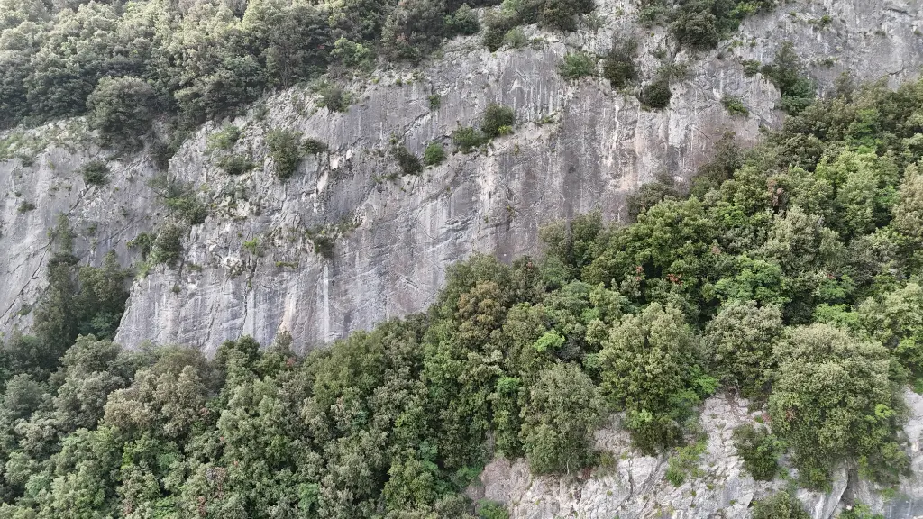 Arcadioland and Pezzent Areas banner