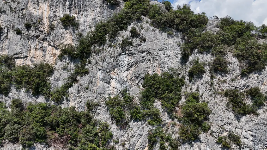 Il Posto delle Fragole banner