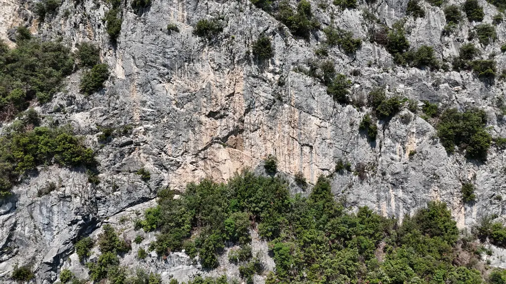 La Panoramica banner