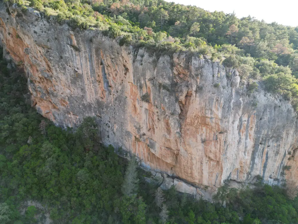 7 Pecats Capitals banner