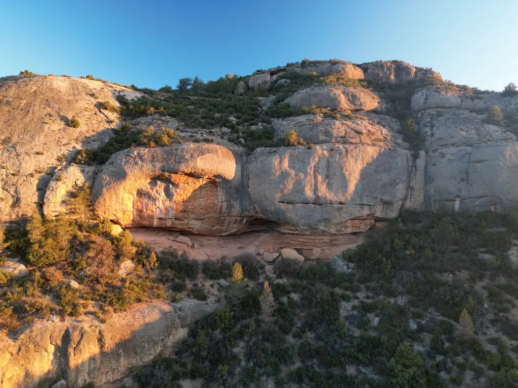 Bombo Taronja banner