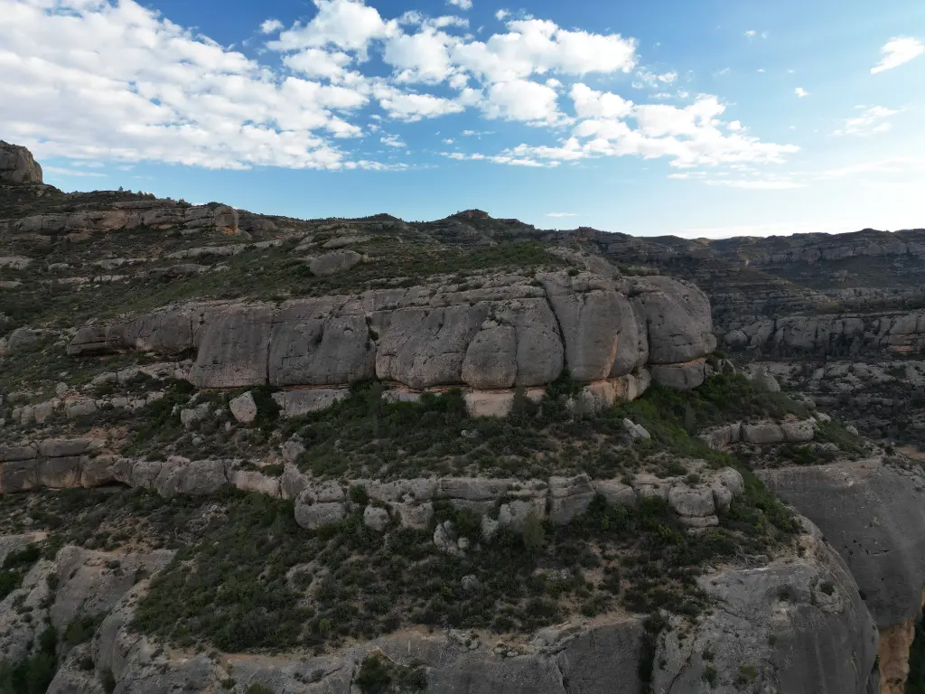 La Braseria, La Braseria Est banner