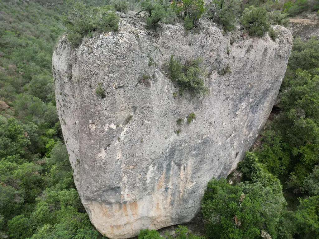 Totxo de la Catedral banner