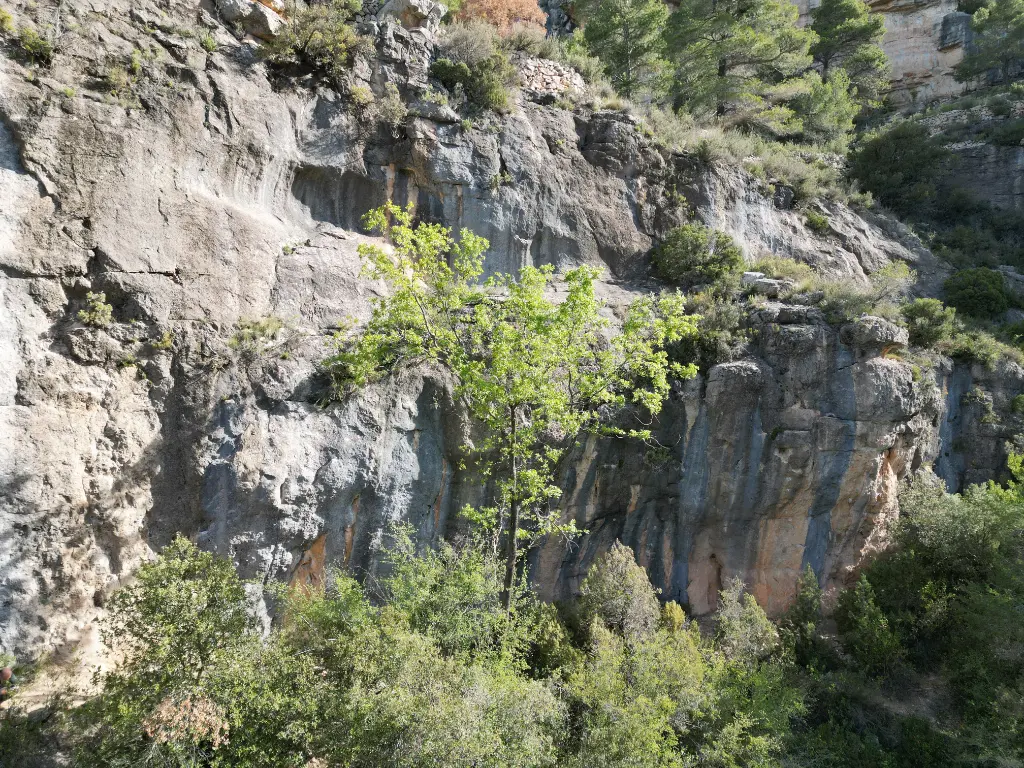 A prop de Can A prop banner