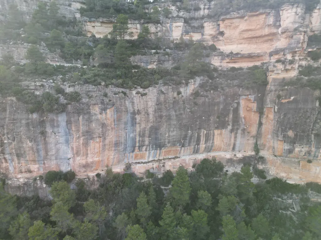 Can Piqui Pugui banner