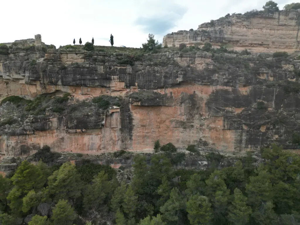 Can Toni Gros banner