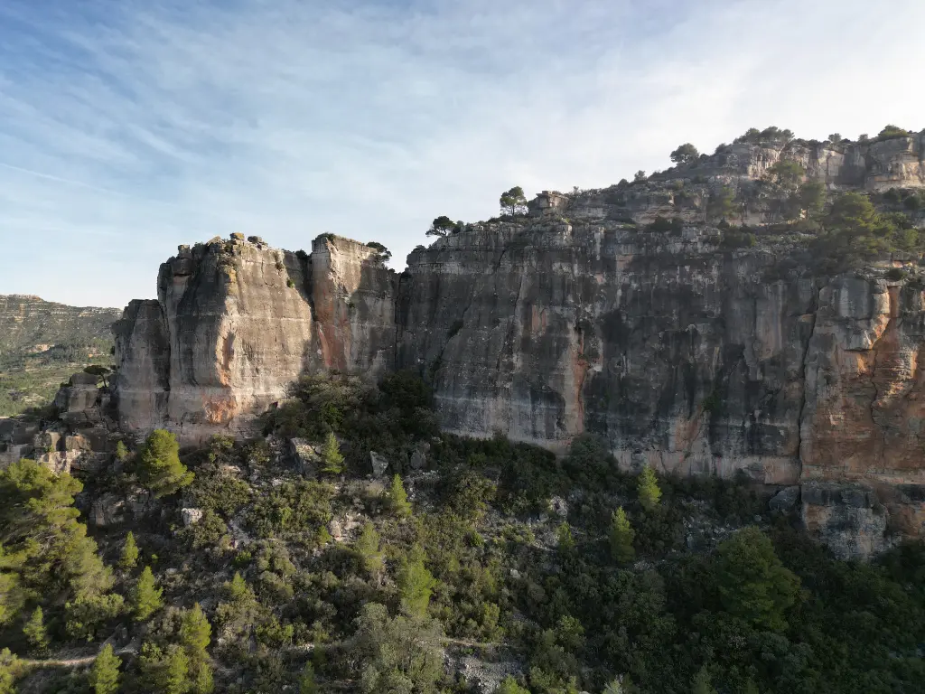 L'Herbolari and El Solarium banner