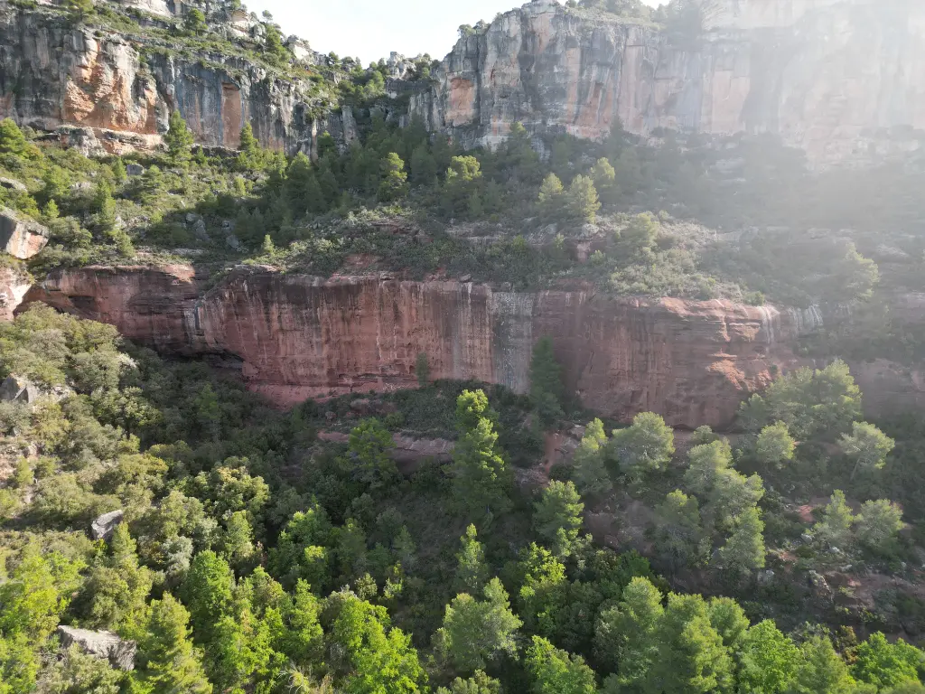 Recingle del Tití banner