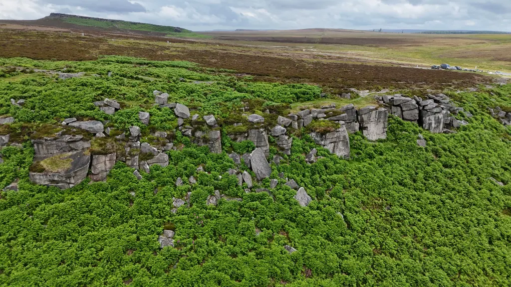 West Side Story - Westworld banner
