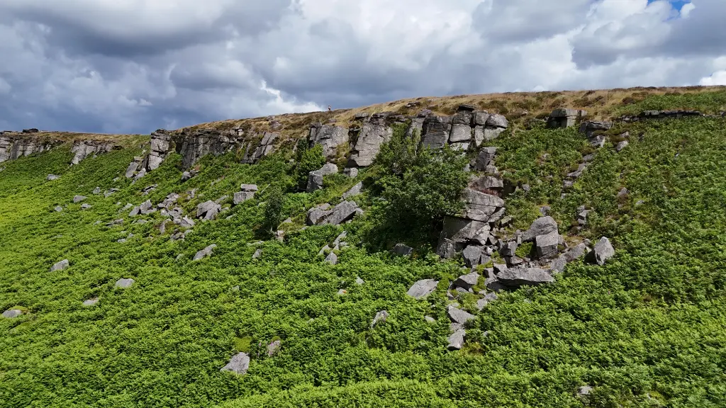 Fun in the Sun banner