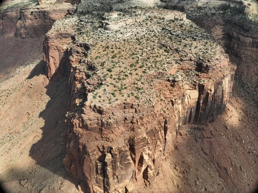 Original Meat Wall & Sacred Cow banner