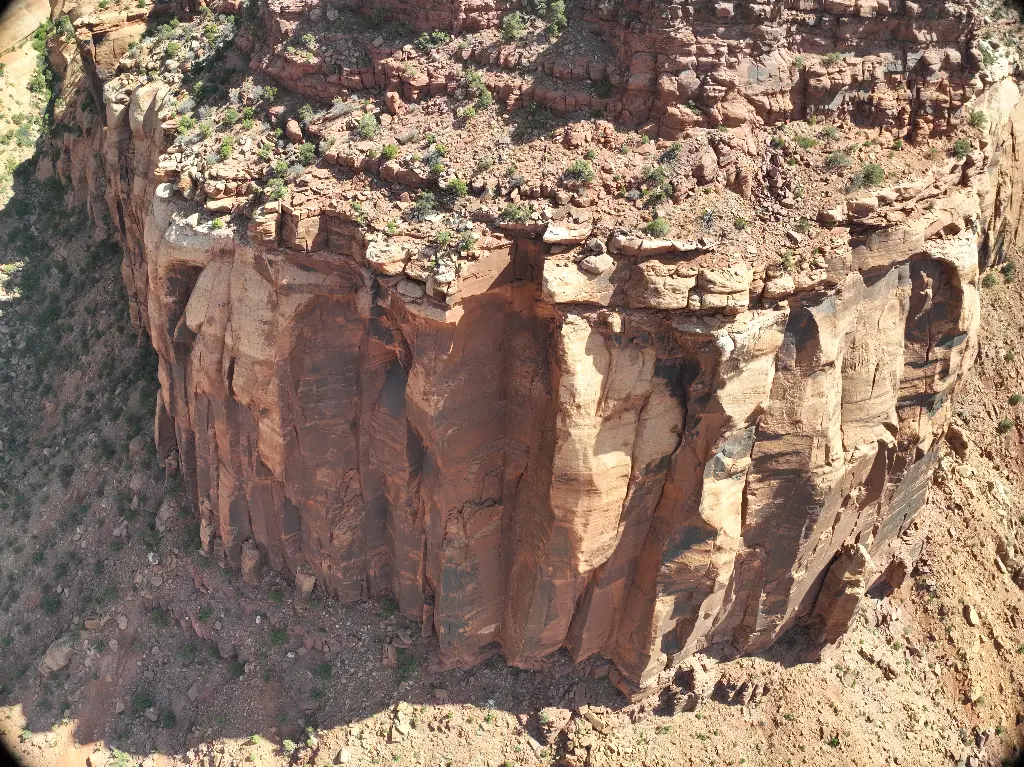 Tenderloins Wall banner