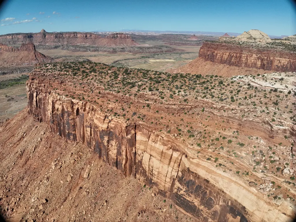 The Fin, Public Service and Broken Tool banner