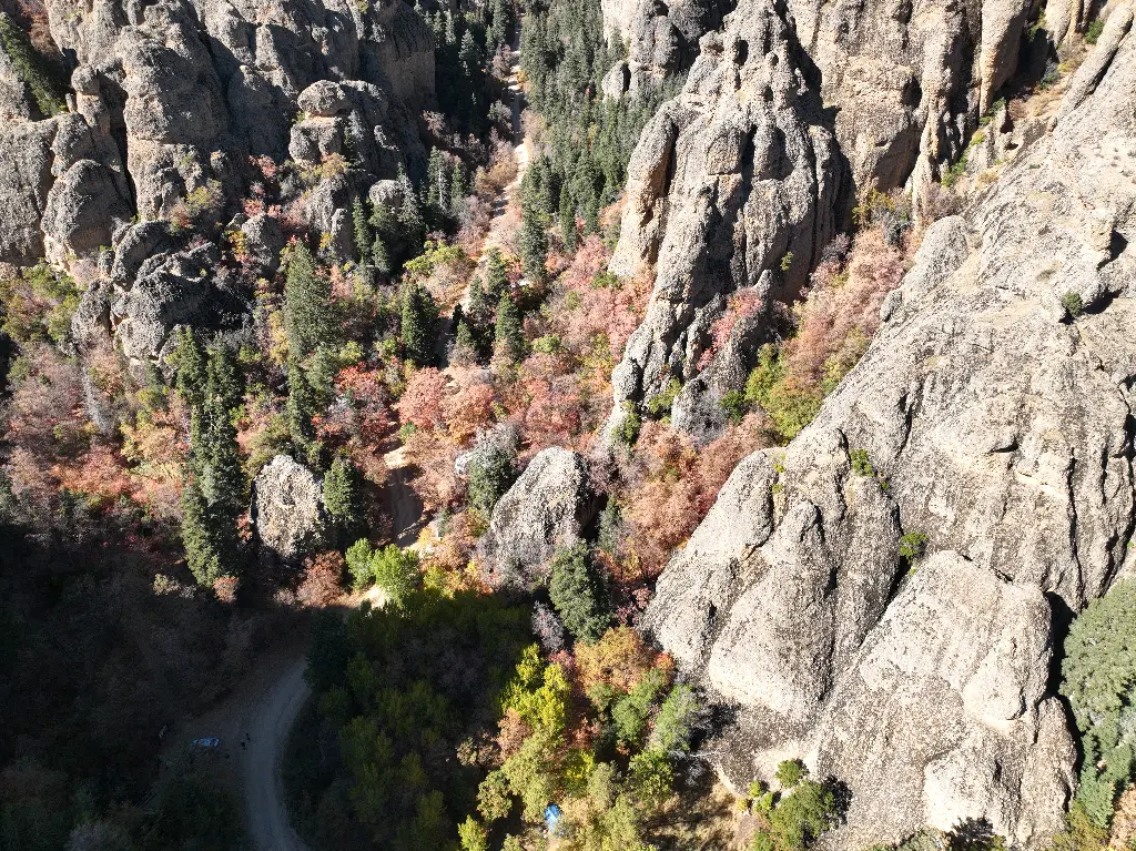 Black Magic Rock banner