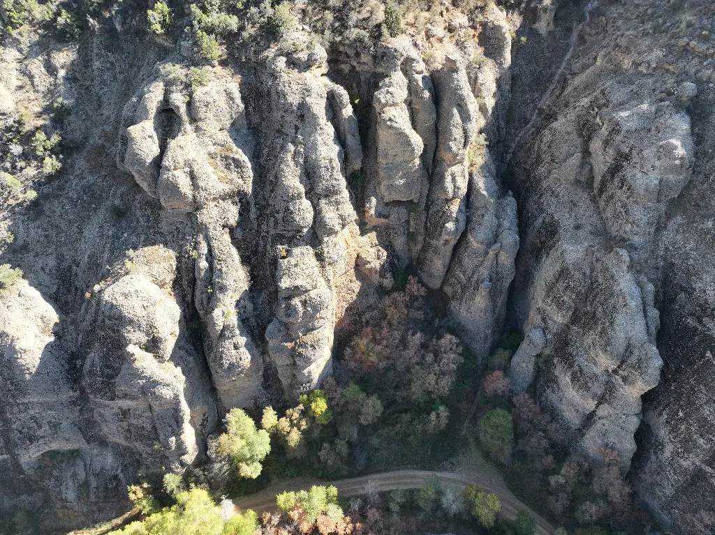 Frontera & Fast Food banner