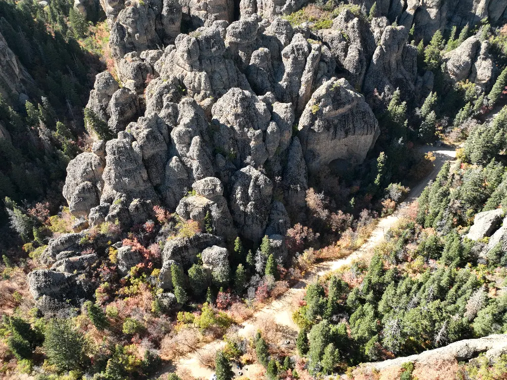 Low Standard Cave & Free Wall banner