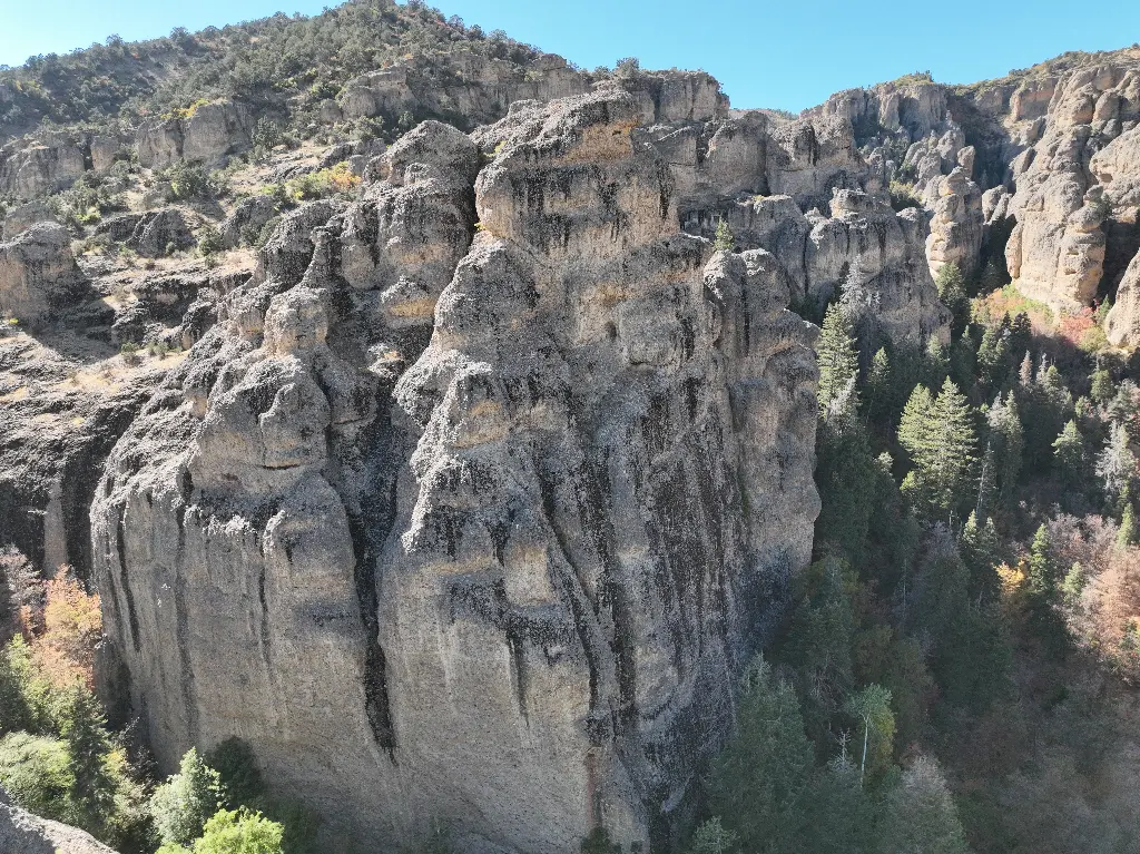 Pictograph - Orngutan banner