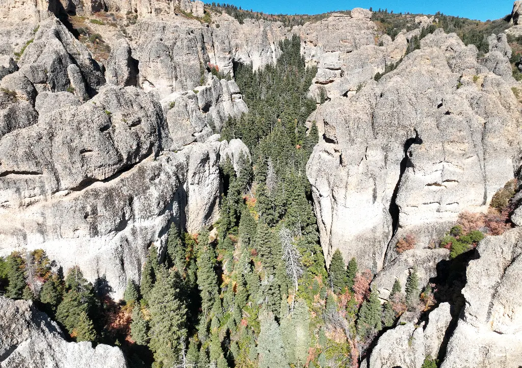 Right Fork Left Side banner