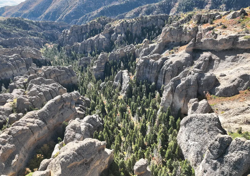 Right Fork Right Side banner