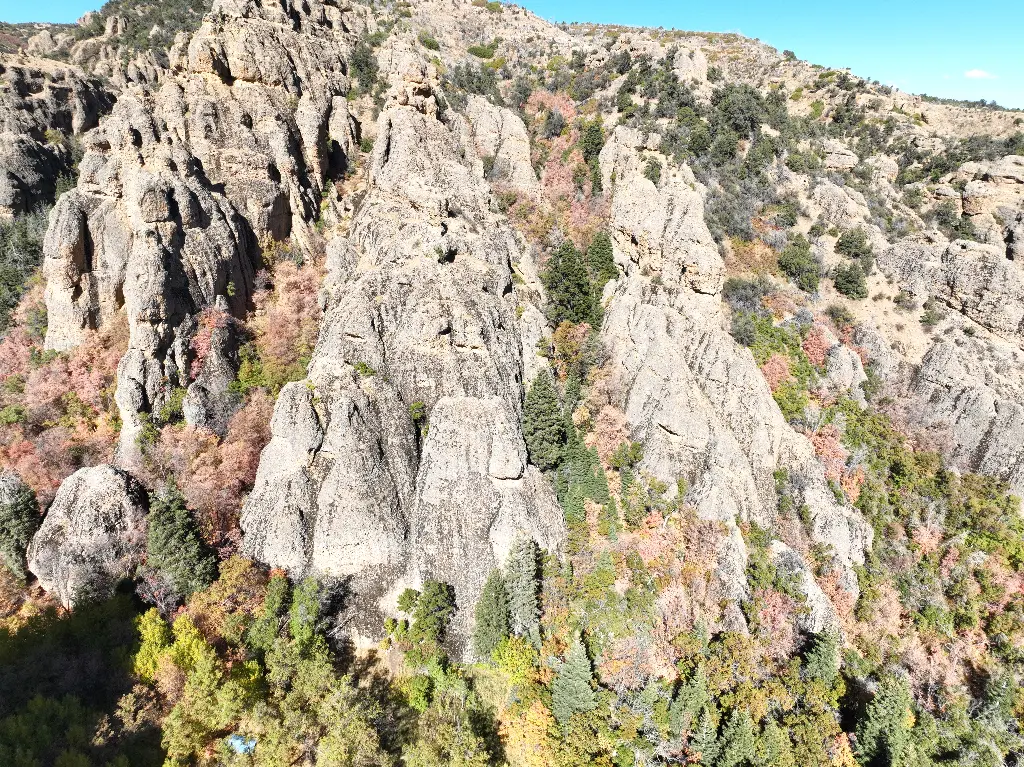 Schoolroom & Roadkill banner