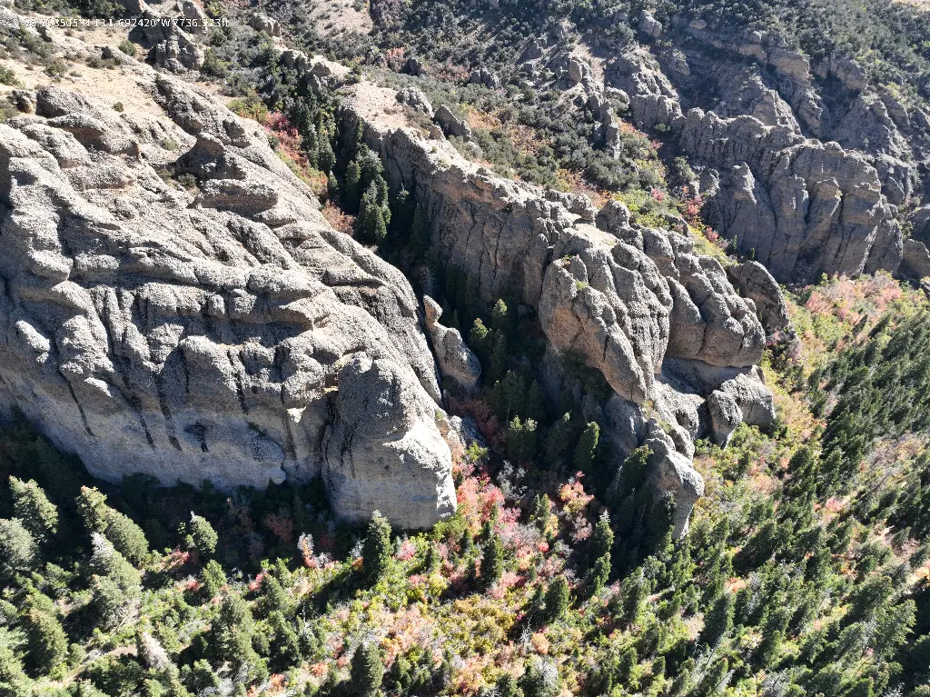 The Coliseum - The Cove banner