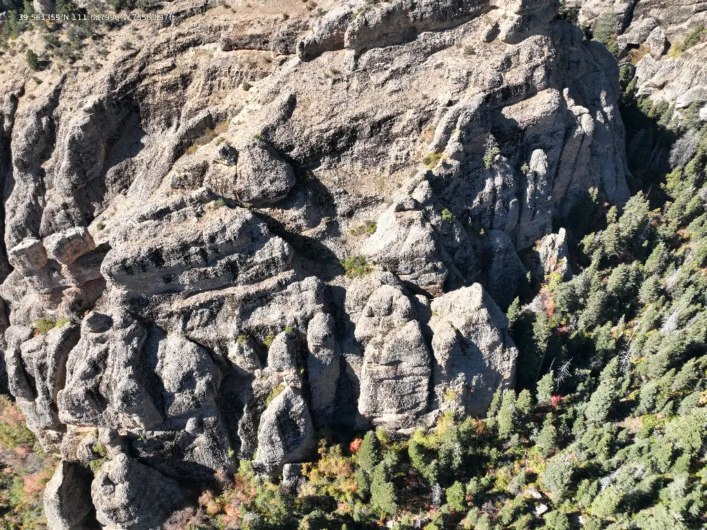 The Trash Compactor & King Kong banner