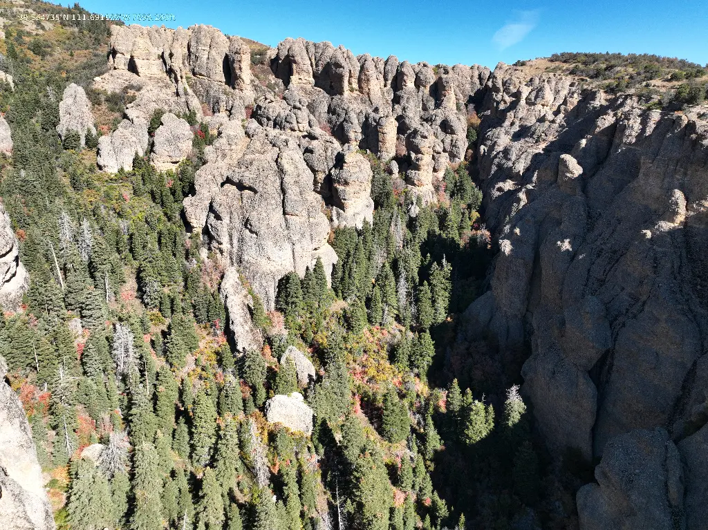 Walls of Liberation & Simpson Rock banner