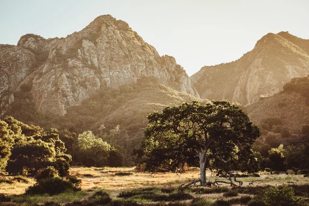 Malibu Creek State Park banner