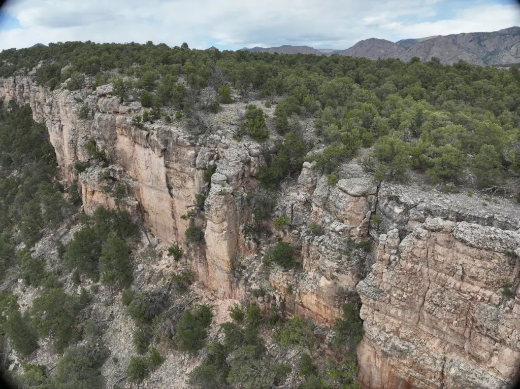 Back to the Future banner