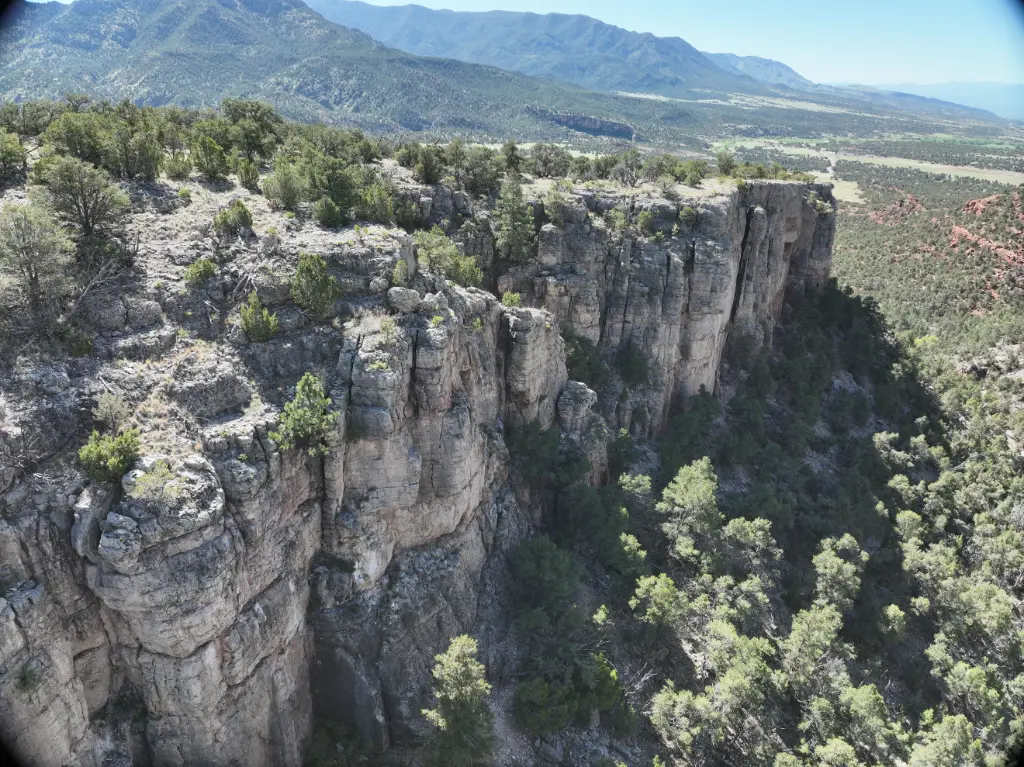 Fish Wall & Mural Wall banner