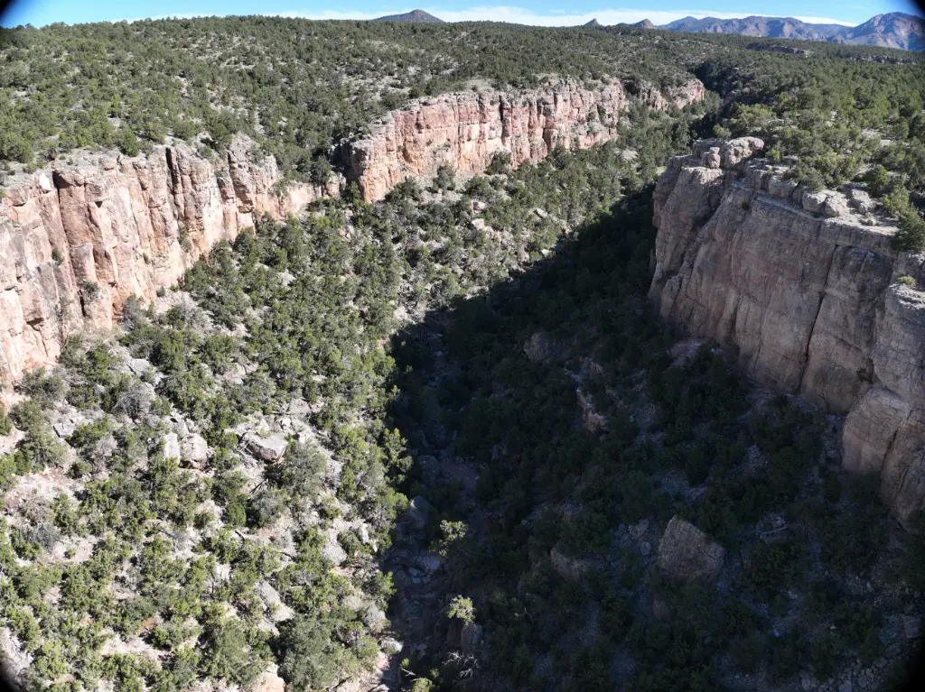 Freeform Wall banner