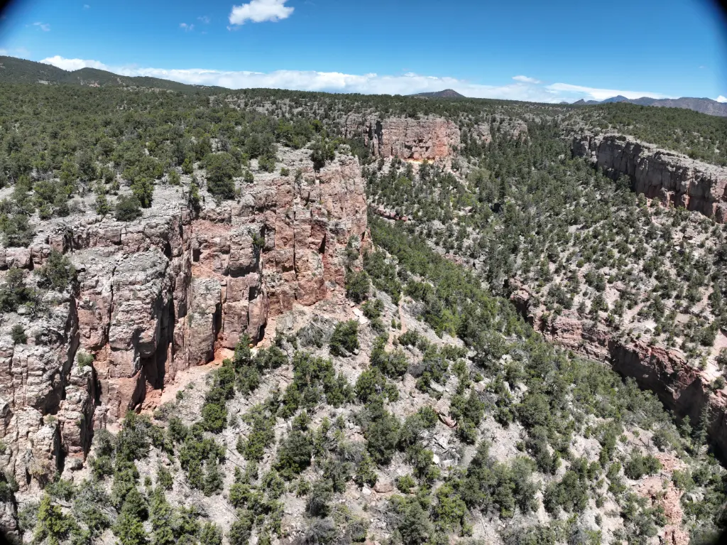 The Zoo - Dragon's Lair banner