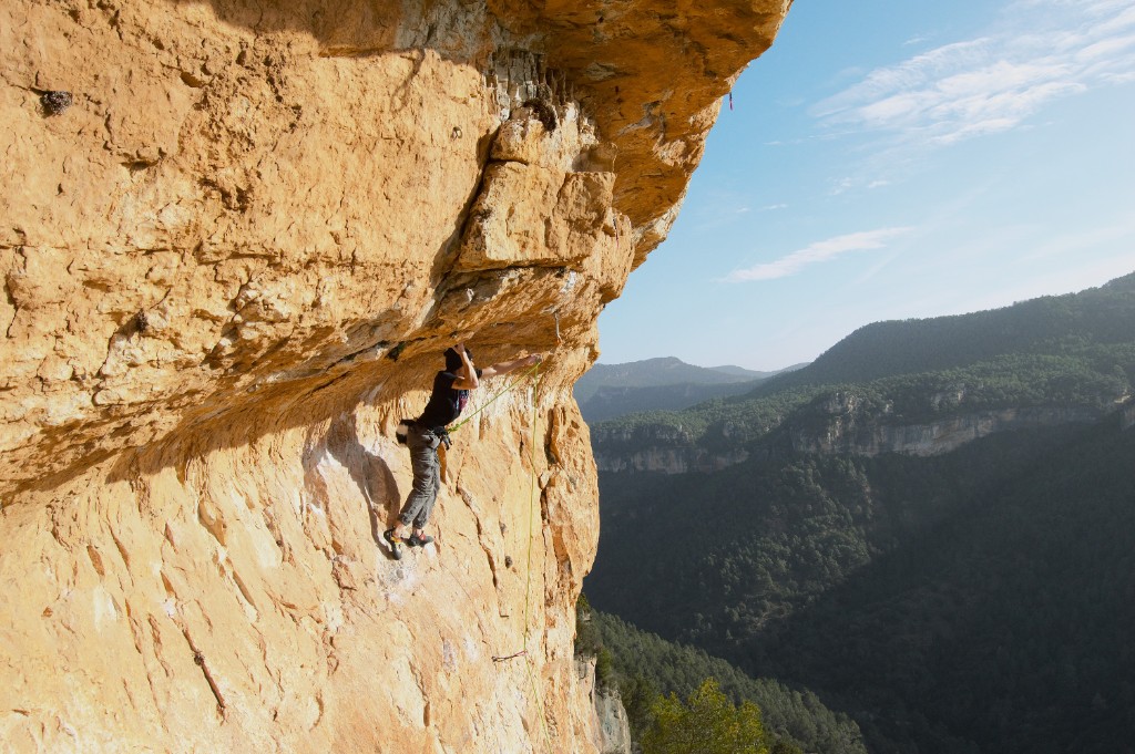 George Cooley banner